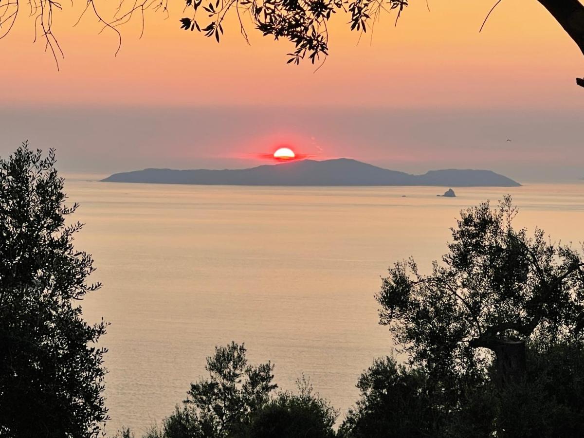 Arillas Hillside Villa 3 - Provence Arillas (Corfu) Exterior foto
